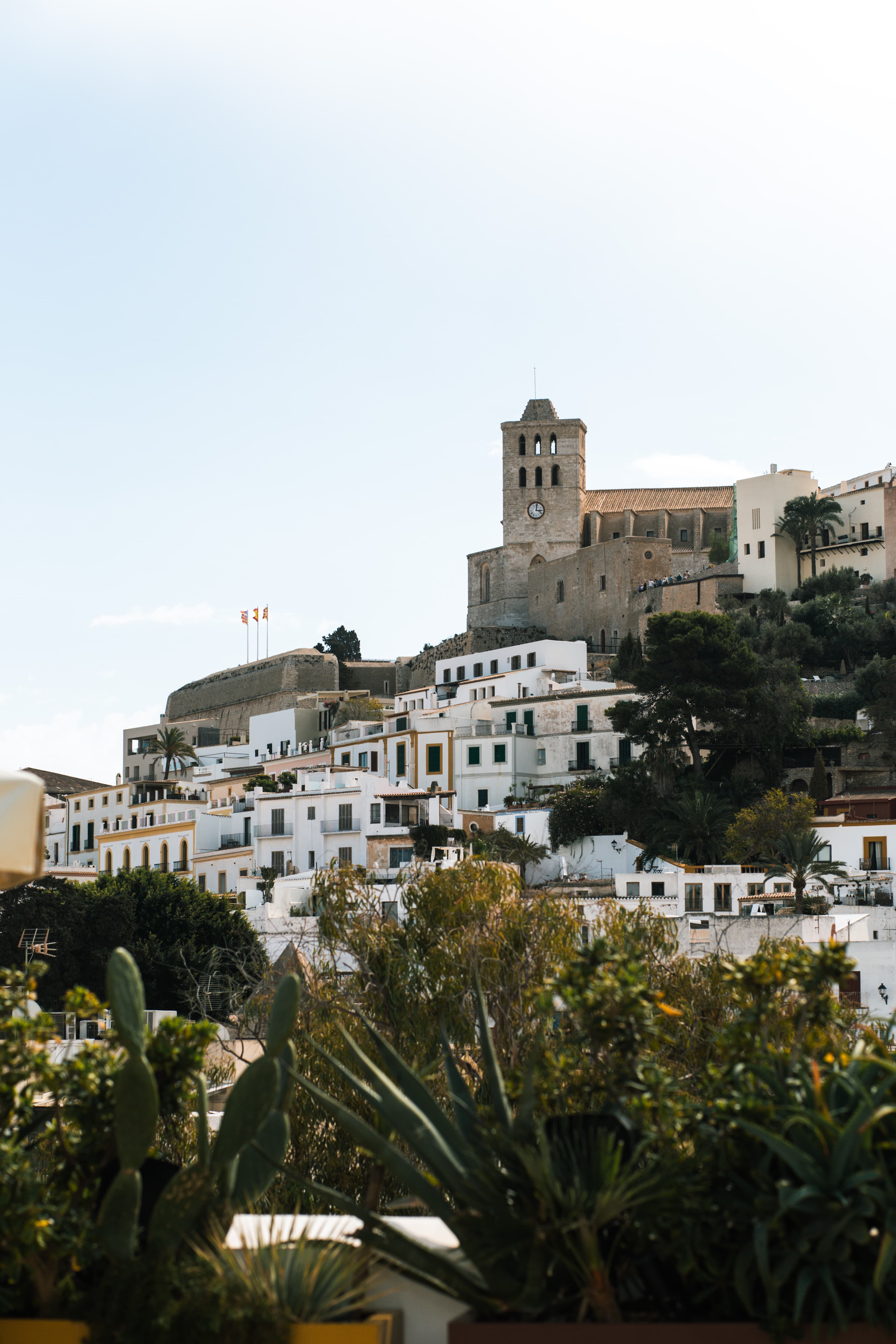 Ibiza 11